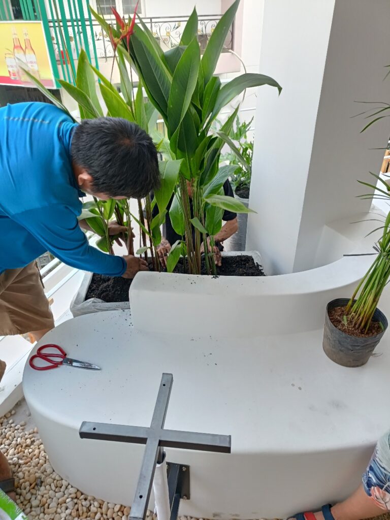 Thi Công Cảnh Quan Cho Quán Trà Sữa Tphcm