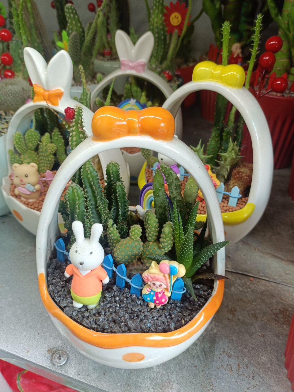 cây xương rồng mini