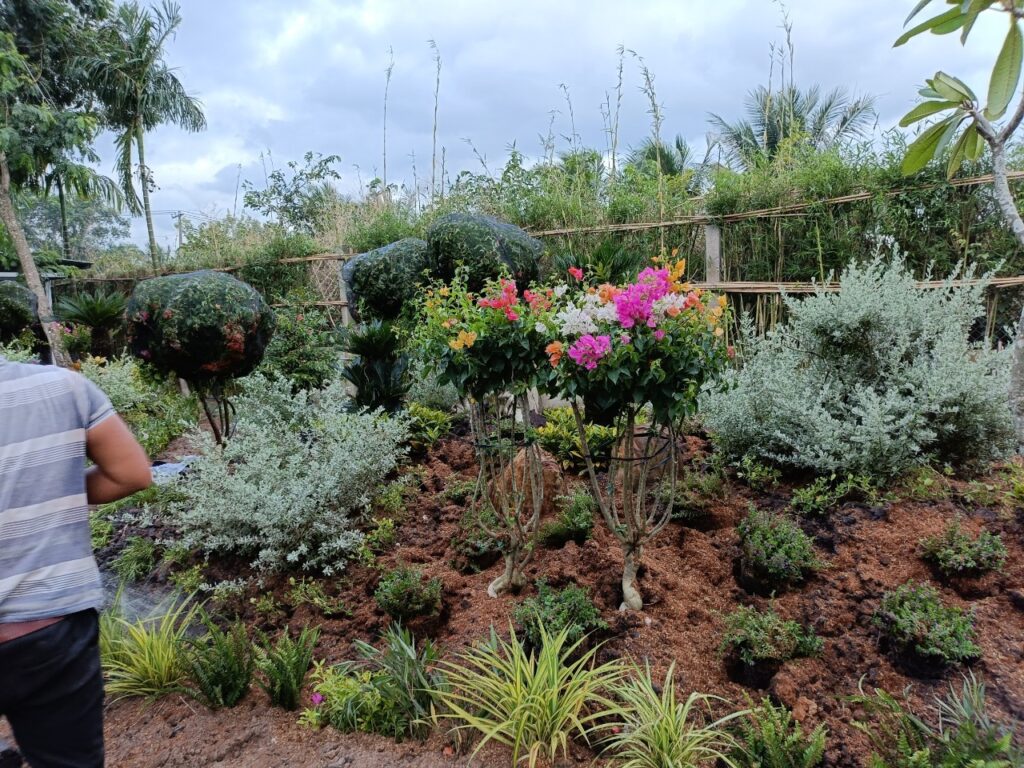 Thi Công Sân Vườn Cây Cảnh