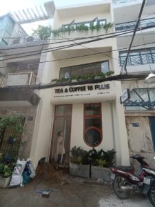 Thi Công Cây xanh nhà Phố tại tphcm