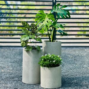 chậu trụ tròn đá mài 30