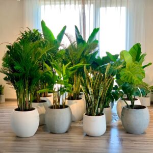mua chậu đá mài tròn