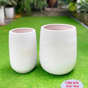 Chậu sứ lu cao trồng cây